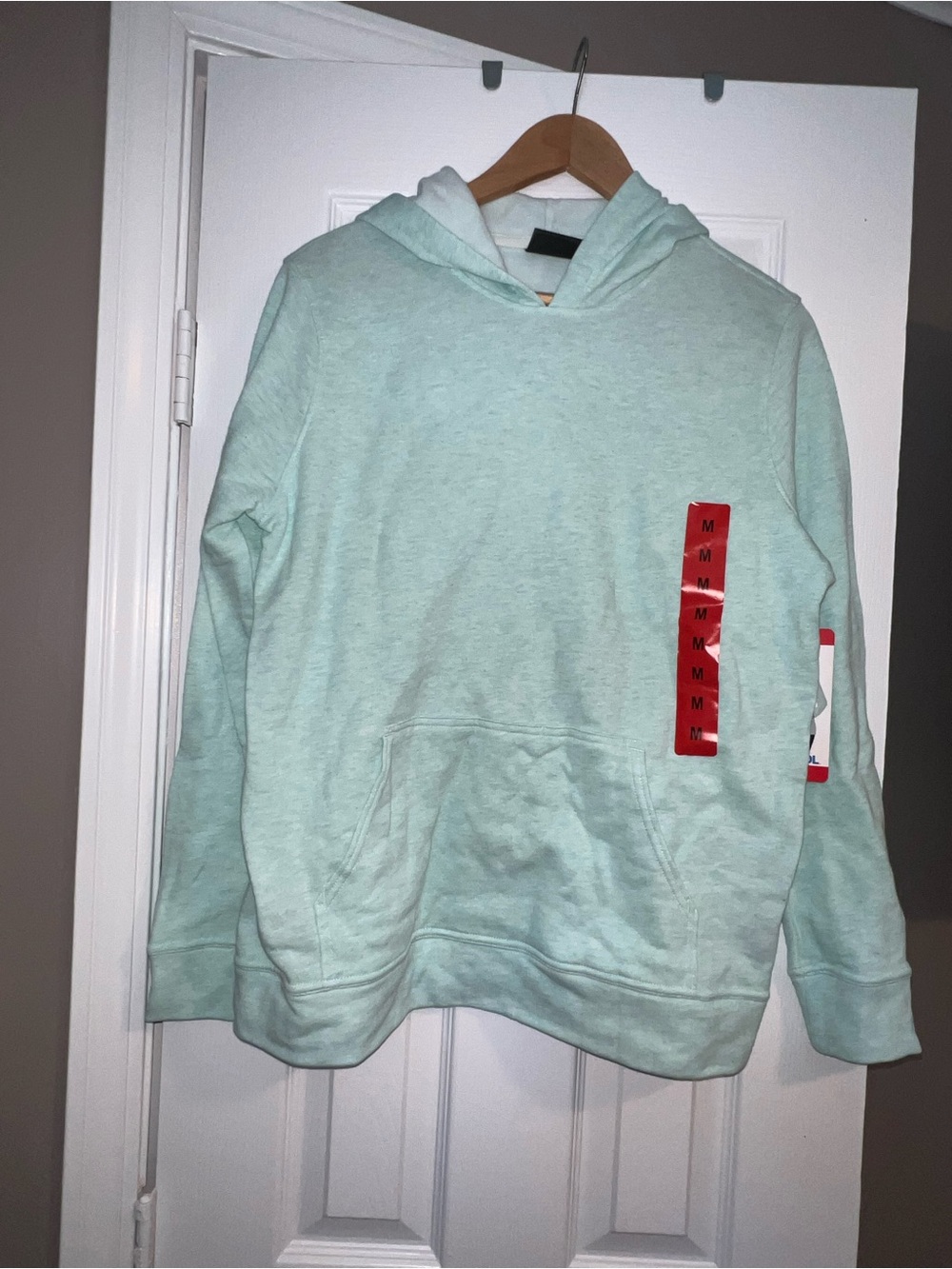 Light Mint Hoodie Sweatshirt - Women's Hooded Pullover